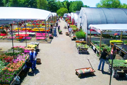 Farmway Garden Center