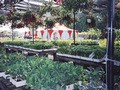 Farmway Garden Center