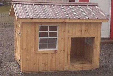 4' x 6' Dog Condo with 2 windows 4' x 6' dog condo with 2 windows