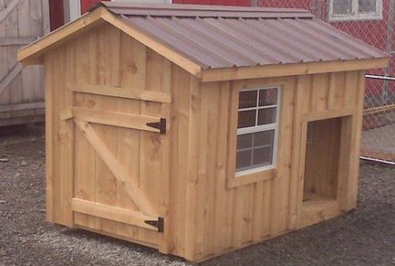 4' x 6' Dog Condo with 2 windows 4' x 6' dog condo with 2 windows